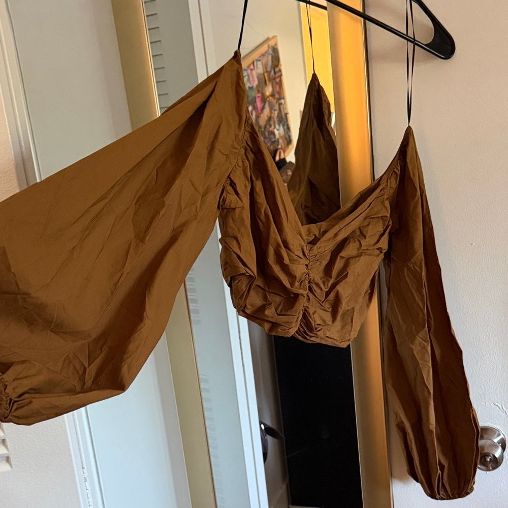 Zara Brown Crop Top